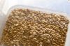 Good Corn Feed Animal Feed For Sale