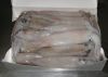 Frozen Squid / Frozen Illex Squid / Frozen Giant Squid