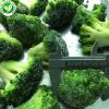 fresh broccoli