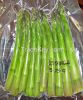 Frozen green asparagus