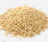 Grade A Oat Grains/Hulled Oat