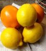 Fresh Lemon And Oranges