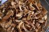 Dried Mushrooms