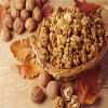 Raw Dried Walnut Kernel for sale