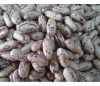 High quality Light Speckled Kidney Beans / Pinto Beans / Sugar Beans