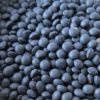 Beluga Black Lentil