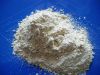 Garlic Spray Dried Powder