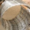 Sell Razor wire, Razor wire fence, Razor barbed wire