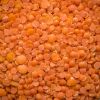 Red Lentils  .