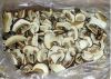 dried mushrooms boletus