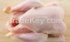 Halal Whole Frozen Chicken/ Frozen Chicken Feet Frozen Chicken Paws  Frozen Chicken Wings Frozen Chicken Leg Quarters