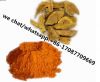 curcuma zedoariaTurmeric Root Extrct 95% Curcumin Yellowish Orange Powder Curcuma longage