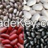 Dried Light Red Kidney/ Black / White Kidney Bean wholesale price