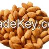 Almond Nuts