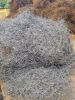 Tire steel wire