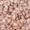 High Quality Pinto bean Light Speckled kidney Beans