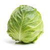Wholesale Perfect Pact Fresh Cabbage sourced from family farms in the USA