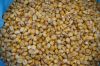 Yellow Corn From Russia (North Osetia)