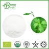 Stevia Extract/Stevioside