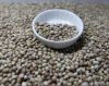 Hemp Seeds