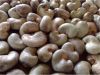 CASHEW NUTS