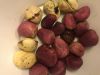 Kola Nuts