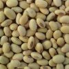 Soya beans