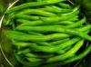 Fresh Green Beans