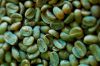 Green Arabica Coffee Beans -Grade AA, AB, PB, C, E