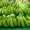 Fresh Green Cavendish Banana