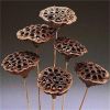 Dried Natural Arrangements Decoration Lotus Seedpod Head Shell Herbal Medicine Wholesaler Exporter Supplier