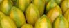 FRESH PAPAYA, FRESH QUALITY PAPAYA FROM SOUTH AFRICA'S BEST GRADE CHOICE