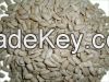 Newest Crop Grade A  sunflower seeds kernels in Bulk