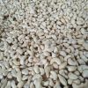 Raw Cashew Nuts W180, W240, W320, W450