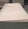 Spruce Plywood, Pine Plywood, Eucalyptus Plywood, Poplar Plywood, Birch Plywood For Sale