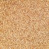 best quality Wheat grain, Barley Malt Grain, Rice Grains for sale at cheap price