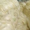 Cheap Sisal Fibre of UG grade and SSUG for sale