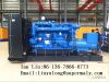 Customized 500kw gas generator with YUCHAI engine