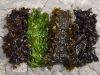 Wholesale dried seaweed nori dried sushi nori, buy fresh dried algae sushi nori