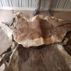 WET SALTED DONKEY HIDES / DRY SALTED DONKEY HIDES