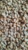 arabica coffee beans