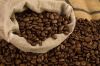 robusta coffee beans