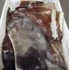 Top quality frozen giant squid wings