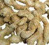 Dried Ginger