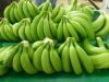 Fresh Cavendish Banana