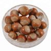 Best Quality Dried Hazel Nuts