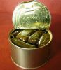 High quality canned fresh grape leaves