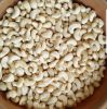 Cashew Nuts (W320, W240, W210, W180 )