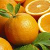 Fresh Navel and Valencia Oranges Citrus Fruits