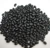 Healthy High Quality Black Kidney Beans
